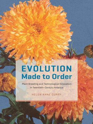 cover image of Evolution Made to Order: Plant Breeding and Technological Innovation in Twentieth-Century America